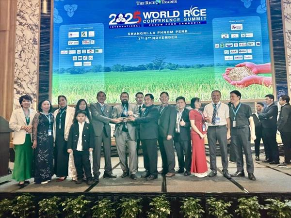 អង្ករ ST25 ឈ្នះរង្វាន់លេខមួយជាលើកទីបី អង្ករល្អបំផុតរបស់ពិភពលោក