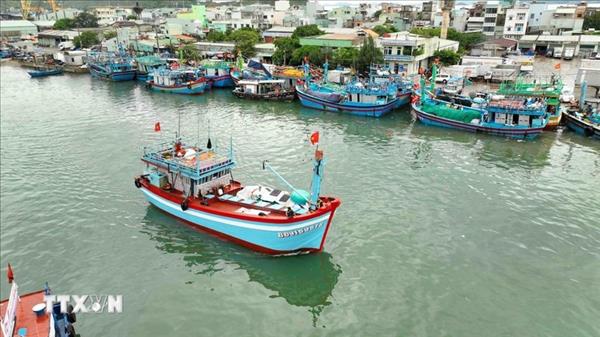 Vinh Long promotes fishermens compliance with IUU rules