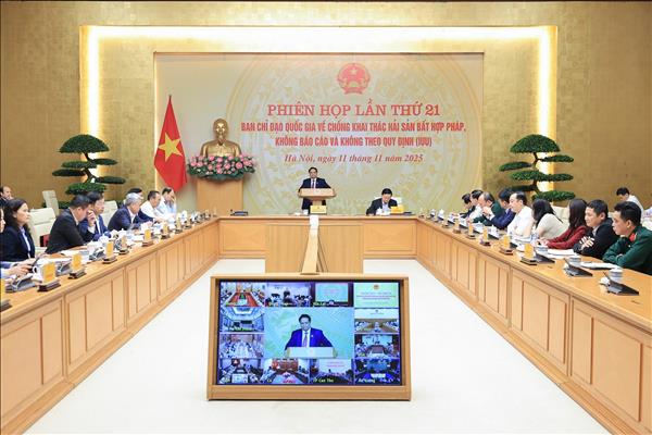 Премьер-министр Фам Минь Тьинь: организация пиковой недели пикового месяца против ННН-промысла