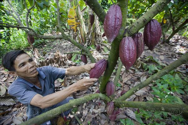 Đồng Nai khơi dậy nội lực kinh tế tư nhân, vươn tới nông thôn mới bền vững