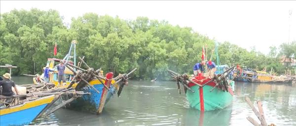 Dong Thap tightens fleet management to combat IUU fishing