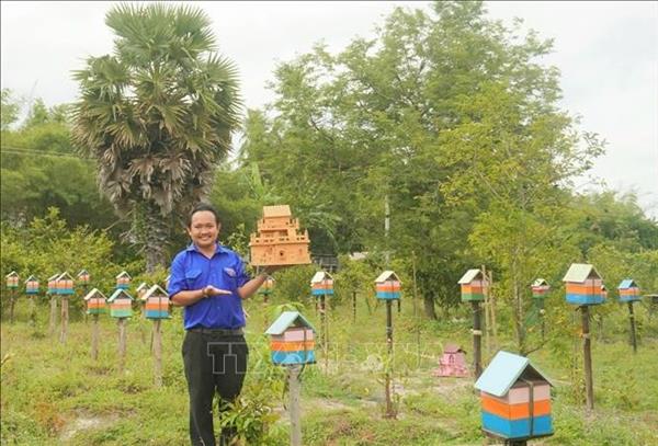 Modelo sostenible de abejas sin aguijón impulsa la economía verde en provincia vietnamita