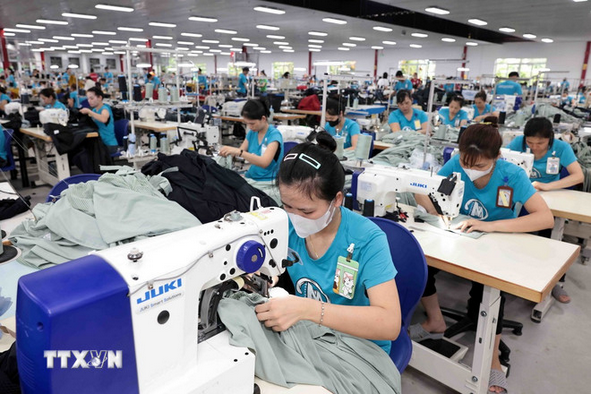 Vietnam - Argelia: Nuevas oportunidades para impulsar el comercio bilateral