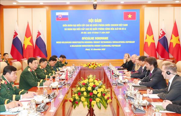 Phó Thủ tướng, Bộ trưởng Bộ Quốc phòng Slovakia thăm chính thức Việt Nam