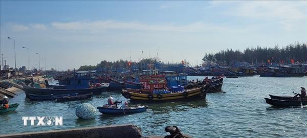 解除IUU黄牌警告：胡志明市所有符合条件的渔船均已获许可