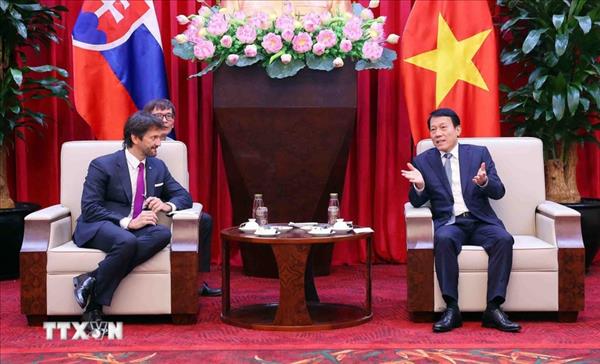 Продвижение сотрудничества между Министерством общественной безопасности Вьетнама и Словакией