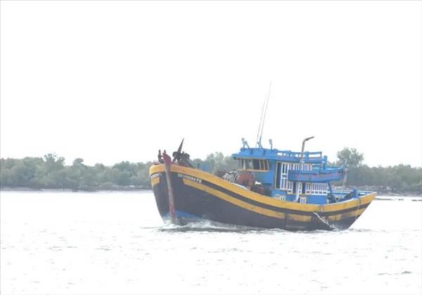 Todos los barcos pesqueros aptos de Ciudad Ho Chi Minh reciben licencias