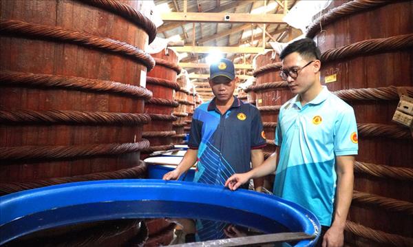 Salsa de pescado de Phu Quoc: tradición centenaria que conquista el mercado global