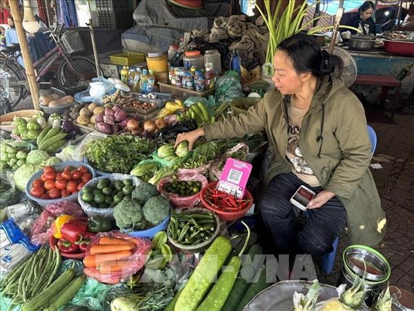 Clima extremo eleva precios de las verduras en Hanoi ante la escasez de suministros