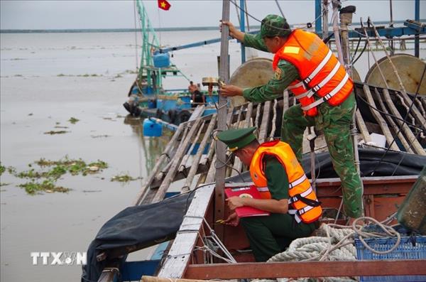 Dong Thap fishermen unite to combat IUU fishing
