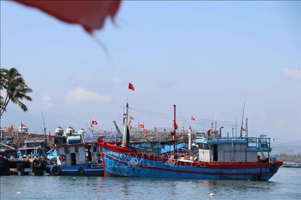 Lutte contre la pêche illicite : les navires de pêche sous contrôle via lapplication VNeID