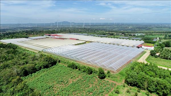 베트남, 2030년까지 세계‧지역 선도하는 농업 기업 육성 목표