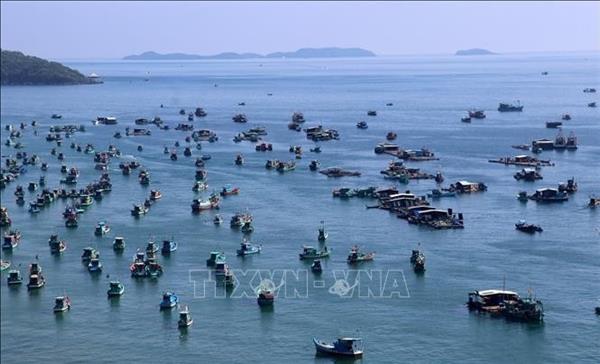 Вьетнам стремится добиться отмены жёлтой карточки ЕС