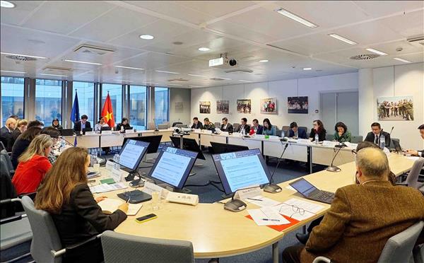 Việt Nam và EU thúc đẩy hợp tác toàn diện