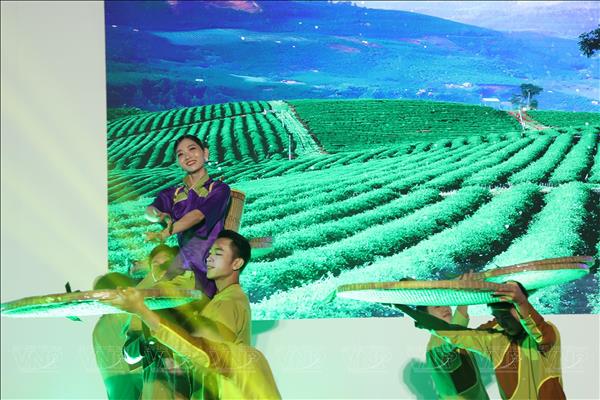 ភ្ញៀវទេសចរជាង ៦ ម៉ឺននាក់បានចូលរួមពិធីបុណ្យតែអន្តរជាតិនៅដាឡាត់