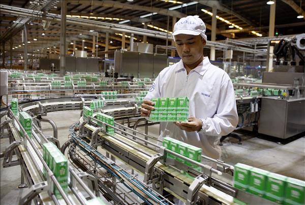 Estrategia impulsa el desarrollo sostenible de la industria láctea vietnamita