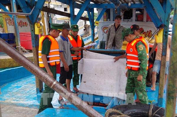 Dong Thap province reports progress in anti-IUU efforts
