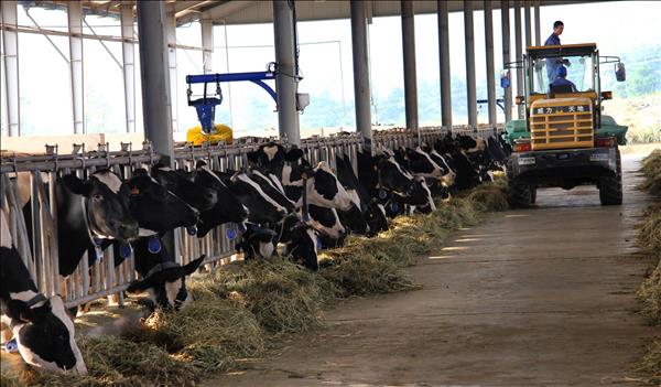 베트남 농업 부문, 수출 목표치 700억 달러 달성 유력