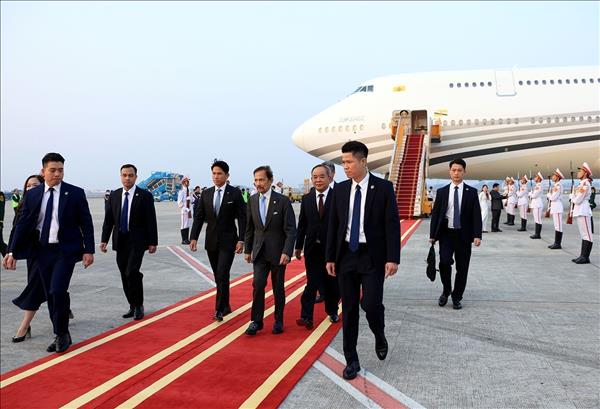 Quốc vương Brunei Darussalam Haji Hassanal Bolkiah đến Hà Nội, bắt đầu chuyến thăm cấp Nhà nước tới Việt Nam