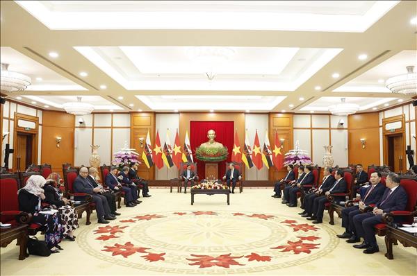 Tổng Bí thư Tô Lâm tiếp Quốc vương Brunei