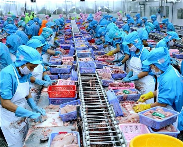 Vietnams agro-forestry-fishery exports race past 2024 record in first 11 months