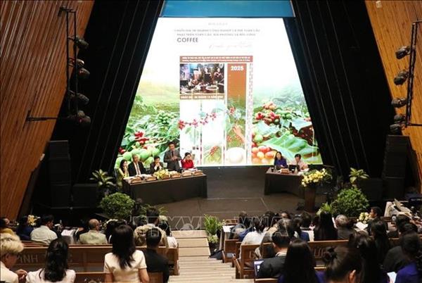 得乐省拟将咖啡种植与加工知识申遗