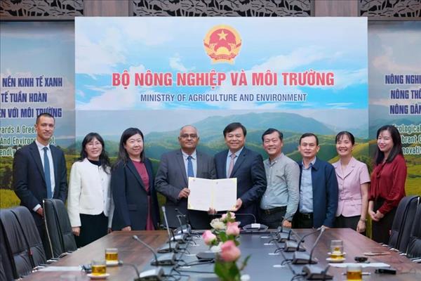 La BAD annonce une aide durgence de 2 millions de dollars pour le Centre du Vietnam touché par les inondations