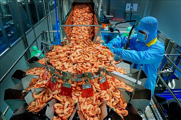 Tầm nhìn chiến lược của Nghị quyết 57 cho nông nghiệp Việt Nam: Khoa học công nghệ góp sức phát triển của ngành thủy sản