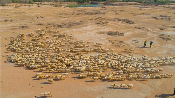 Tầm nhìn chiến lược của Nghị quyết 57 cho nông nghiệp Việt Nam: Ứng dụng khoa học công nghệ trong nông nghiệp sa mạc