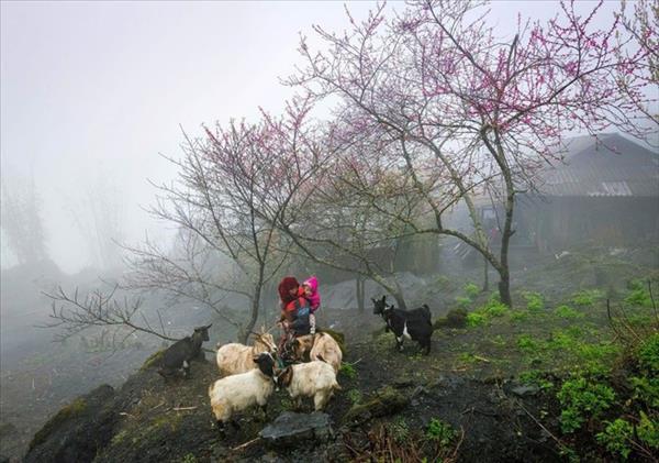 Вьетнам признан ведущим мировым направлением наследия 2025 года