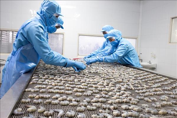 베트남 FDI 유치액 336억 달러 돌파, 집행액은 5년 만에 최고치 기록