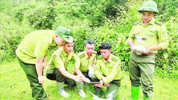 Digital technology application enhances forest management, protection