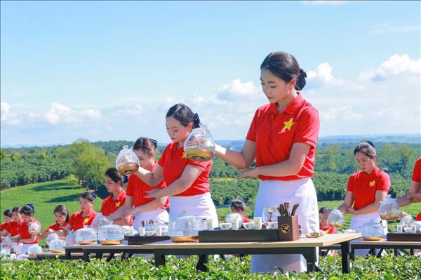 2025년 럼동 국제 차(茶) 축제 폐막…6만 명의 이상 방문객 유치