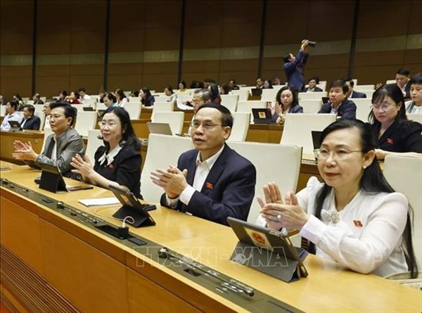 越南第十五届国会第十次会议：通过《国际金融中心专门法院法》