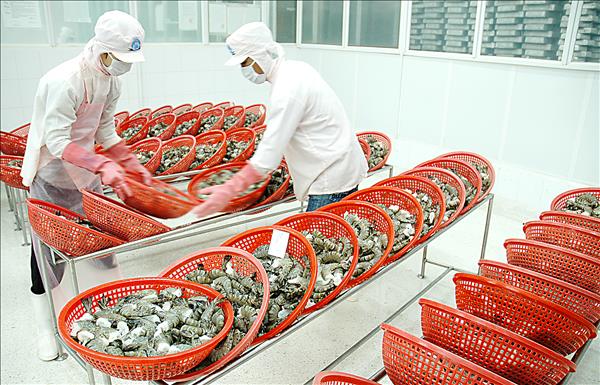 베트남, 2025년 수출입 규모 9,200억 달러 돌파 예상…세계 상위 20위 진입 예고