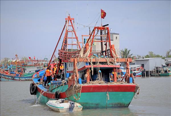 베트남 정부 감사원, 호찌민시에서 ‘IUU 어업 방지 현장 점검