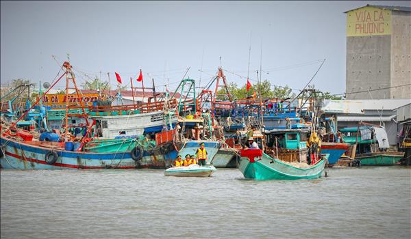 សុក្រិតហេដ្ឋារចនាសម្ព័ន្ធមុខរបរនេសាទ៖ តំណតភ្ជាប់ដ៏សំខាន់មួយក្នុងការប្រយុទ្ធប្រឆាំងនឹងការនេសាទខុសច្បាប់ IUU