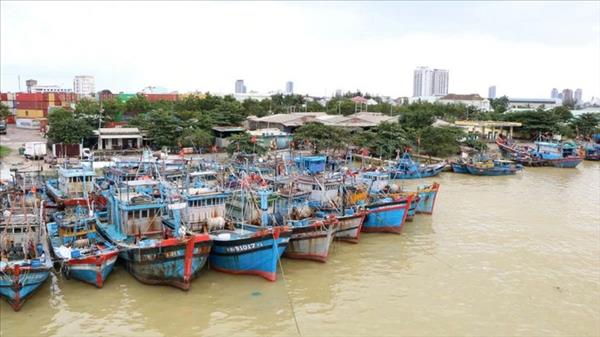 ສ້າງ​ພື້ນ​ຖານ​ໂຄງ​ລ່າງ​ອາ​ຊີບ​ຫາ​ປາ​ໃຫ້​ສຳ​ເລັດ​ຜົນ ຕ່ອງ​ໂສ້​ສຳ​ຄັນ​ໃນ​ການ​ຕ້ານ​ກາ​ນ​ຂຸດ​ຄົ້ນ IUU