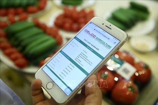 La trazabilidad, clave y desafío del comercio electrónico en Vietnam