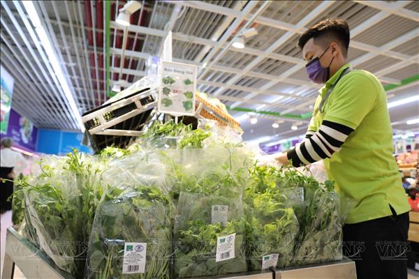 Chế biến nông sản Thủ đô - Dư địa lớn cho gia tăng giá trị