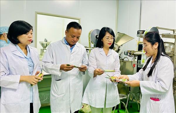 Hanoi Issues Strategic Plan to Resolve Food Safety Bottlenecks
