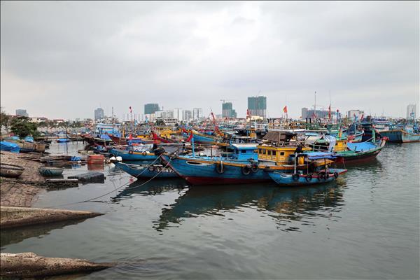 Khắc phục thẻ vàng IUU: Quảng Trị kiểm soát chặt hoạt động tàu cá