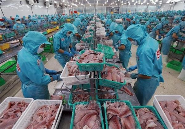 巴西宣布启动与越南的南方共同市场优惠贸易协定谈判