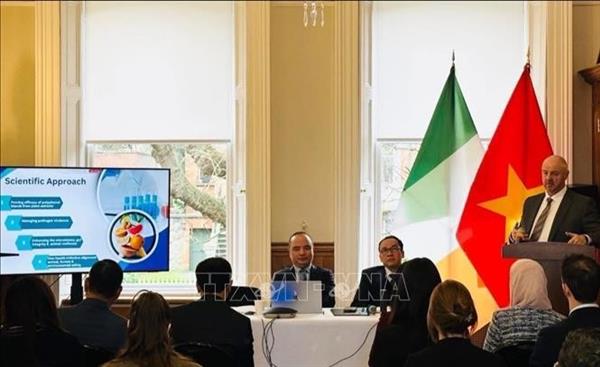 Vietnam, socio económico dinámico y con gran potencial de Irlanda en ASEAN