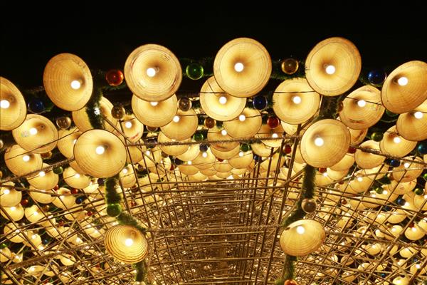 民众涌向同奈省观赏由3000顶斗笠打造的圣诞树