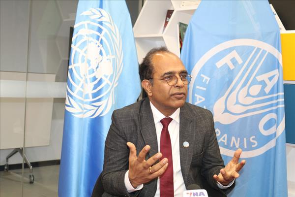 Representante de FAO elogia progreso de Vietnam en agricultura sostenible