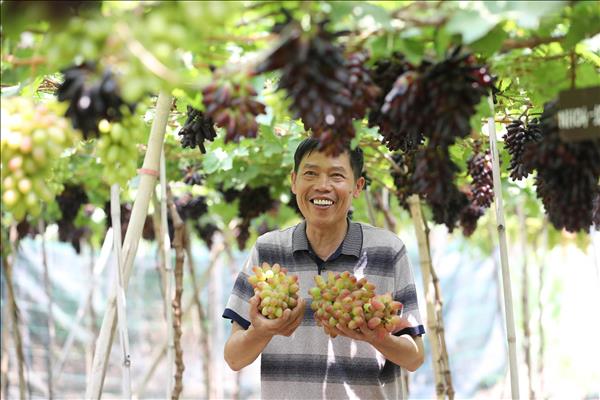 Green Transformation: Key for Vietnamese Businesses to Integrate into Global Supply Chains