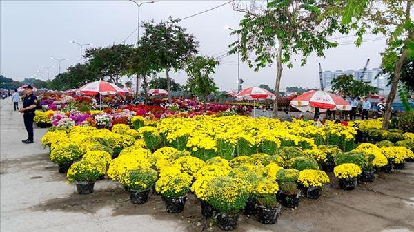 Mercado de flores de primavera Binh Dien 2026: Un evento inolvidable para el Tet