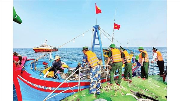 Provincia de Quang Ngai registra avances en la lucha contra la pesca ilegal