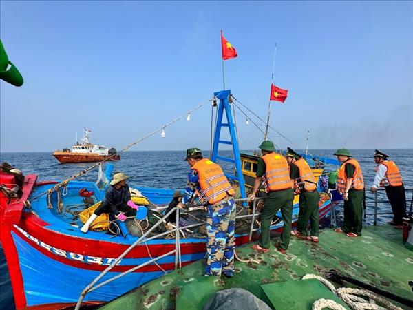 Des avancées notables dans la lutte contre la pêche INN à Quang Ngai